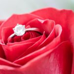 silver diamond embed ring on red rose