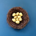 white eggs in brown nest